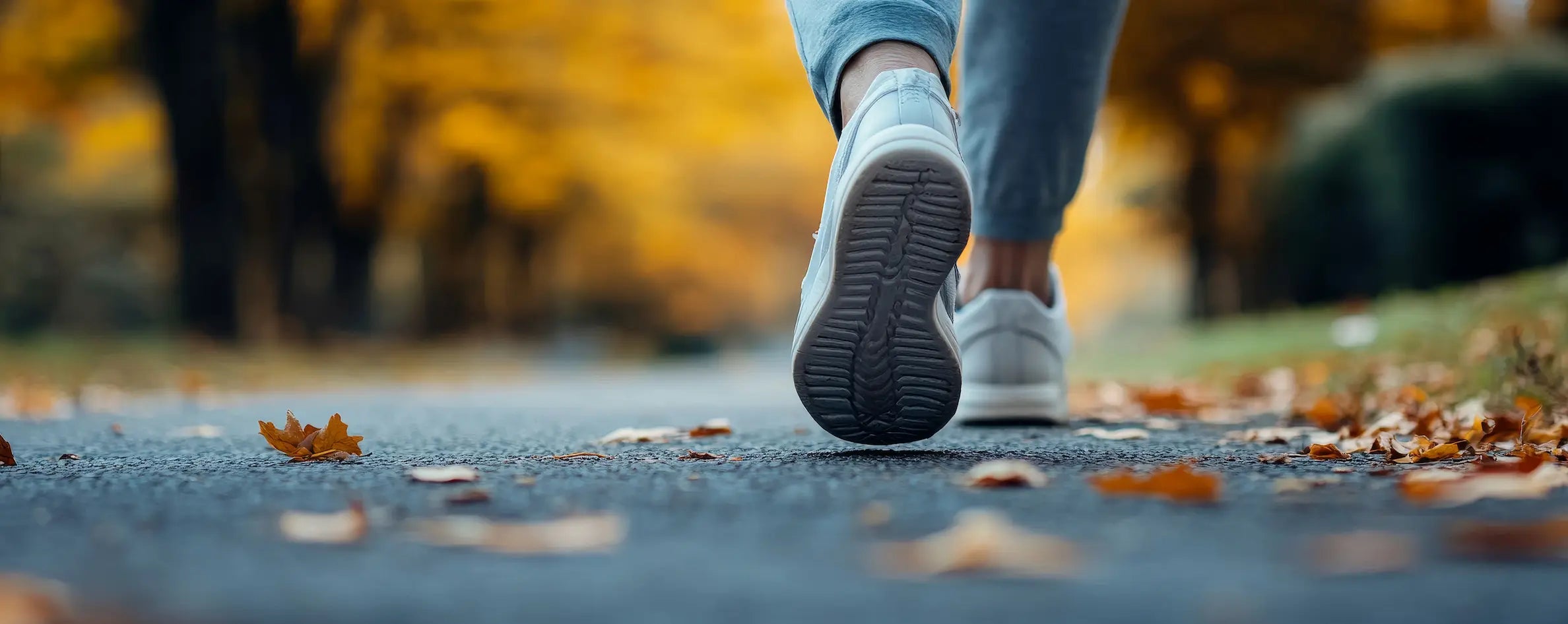 Person walking on a path with blurred autumn trees in the background